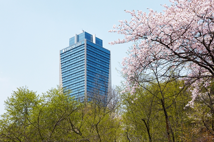 Picnic in Namsan PKG